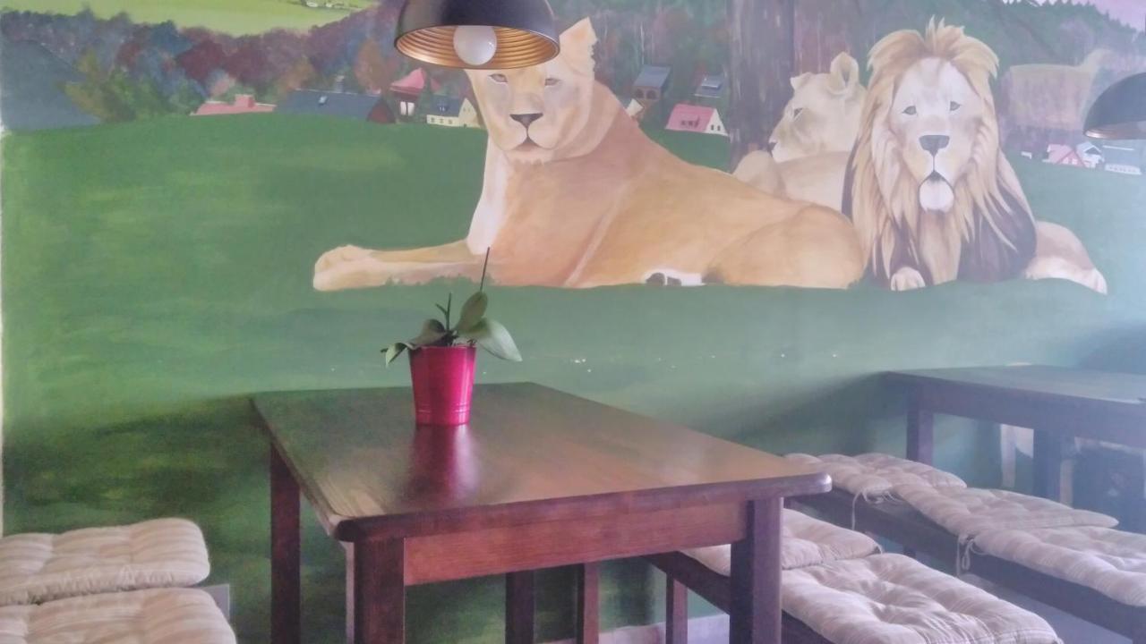 4Lionshostel Königstein an der Elbe Zewnętrze zdjęcie